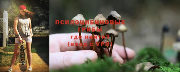 МДПВ Ачинск