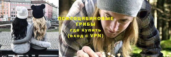 трава Алагир