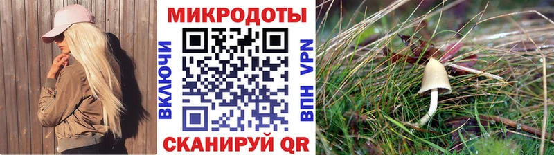 Галлюциногенные грибы Magic Shrooms  Зуевка 